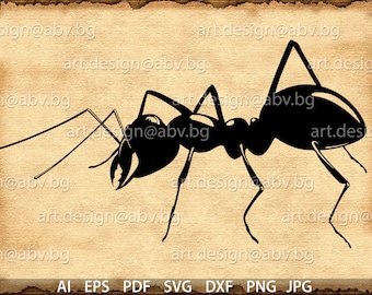 Vector ANT, SVG, AI, eps, pdf, svg, dxf, png, jpg Download, Digital image, graphical, discount coupons