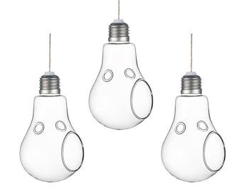 Glühbirne hängen Terrarium / / Tillandsia Pflanzer //hanging