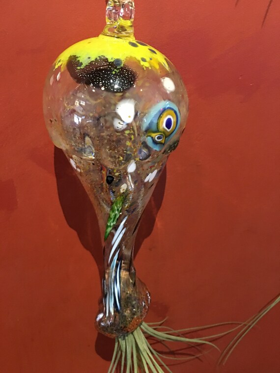 Decorative hand blown hot glass and airplant jellyfish