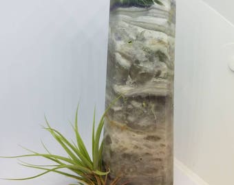 Air Plant Crystal Point | Tillandsia | Crystal Garden | Air Plant Gift | Natural Crystal | Air Plant Crystal | Airplant Crystal