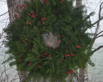 Fresh Balsam Fir Christmas Wreath with Rose Hips