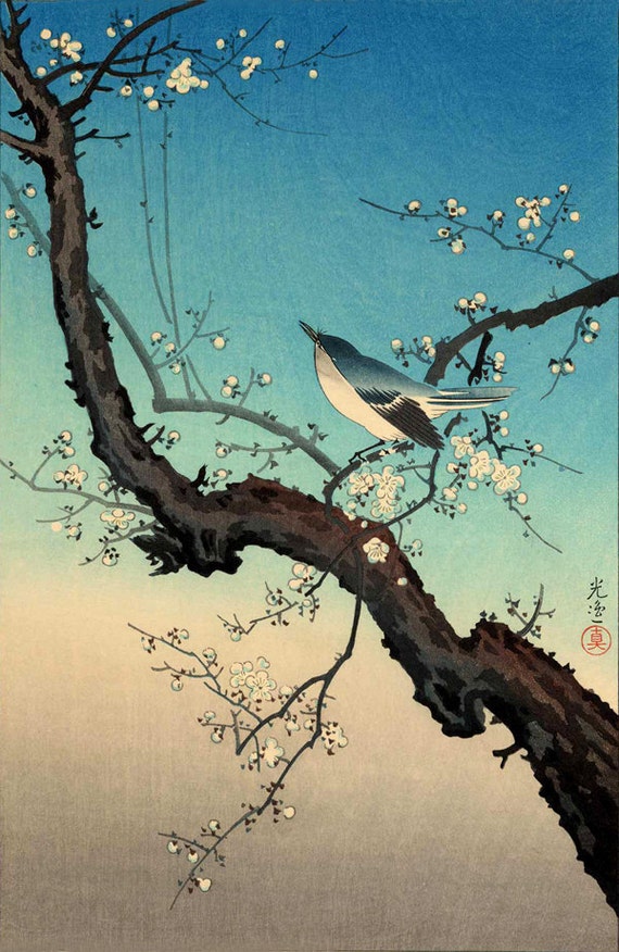 Japanese birds flowers art prints woodblock prints