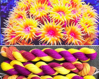 Anemone Miniskein 20g, sea life inspired merino nylon sock yarn
