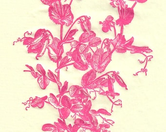 Pink Sweet Pea Guest Towels/Napkins, Set of 16