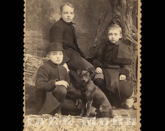 Excellent 1880s 1890s Cabinet Photo Muncie Indiana Brothers / Boys & Little Dog