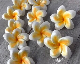 Gum Paste Hawaiian Plumeria White and Yellow 6 flowers