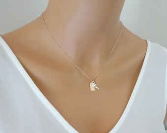 Pet loss necklace, Paw print necklace, pet memorial necklace, Dog necklace, personalized pet necklace, remembrance necklace, cat necklace