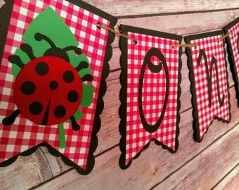 Ladybug banner, ladybug high chair banner, bug banner, one banner, ladybug birthday banner, ladybug birthday, ladybug party, ladybug decor