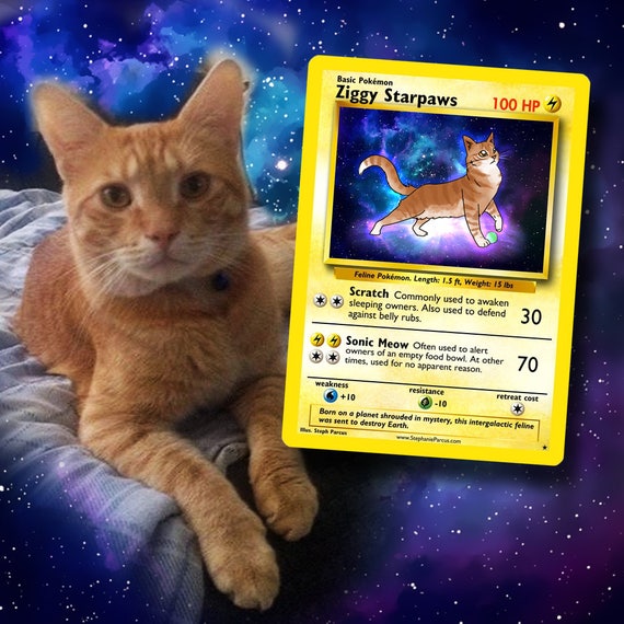 your Pet as a Pokemon card