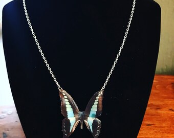 Butterfly/jewelry/butterfly necklace/butterfly wing/necklace