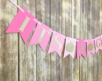 Welcome Little Pumpkin Banner Fall Baby Shower Banner Fall