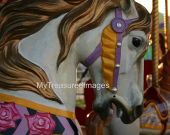 The horses go around at the county fair, 11X14 fine art photograph.