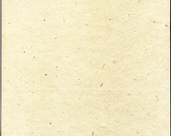plantable paper etsy seed paper sheets