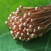 Solid Copper Headpins For Jewelry Making - Jewelry Supplies - 2.75 Inch Balled Tip Headpin - Copper Findings (30 pieces) 21g