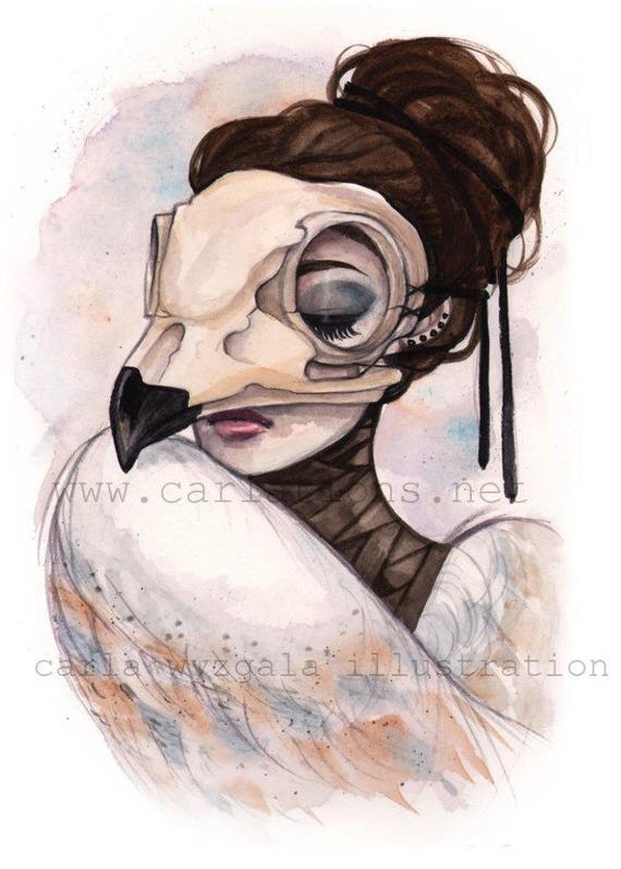 to how letter animals draw skull Barn print watercolor Wyzgala Lady Owl Art Carla