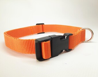 Collar Light 2 cm