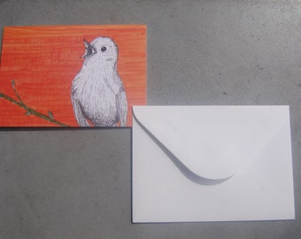 Bird Card