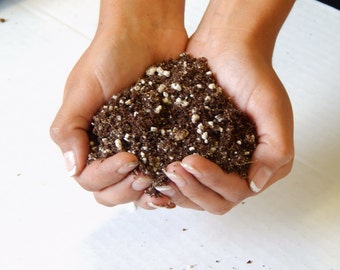 Bliss Gardens Premium Potting Soil - 1 Gallon
