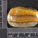 Bumble Bee Jasper Cabochon Hand cut JBB38