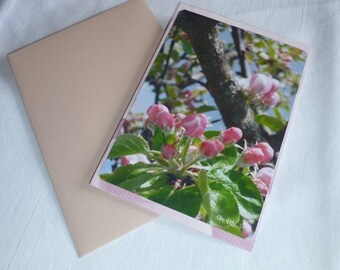 "Apple blossoms ' 10 buds, 5x15cm card