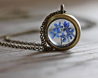 Medaillon natural forget- me- not flowers