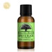 Spruce Black Essential Oil - Aromatherapy, Pure Organic Spruce Black Essential Oil - Picea Mariana Oil - Therapeutic Grade