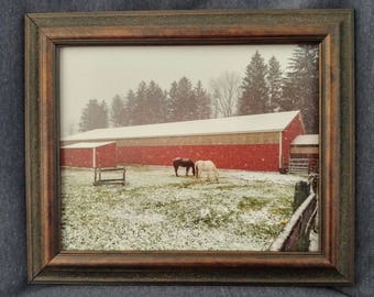 Horses in the Snow