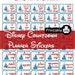 Disney Countdown PDF PRINTABLE Planner Stickers for Happy Planner Erin Condren Planner Filofax Plum Paper Walt Disney World Decorating Kit