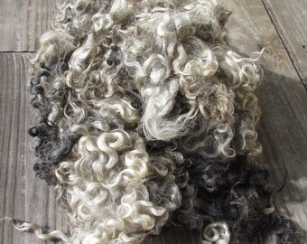 Lincoln locks natural silver grey colored Lincoln wool locks 2 oz