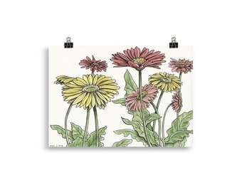 Gerber Daisies Illustration