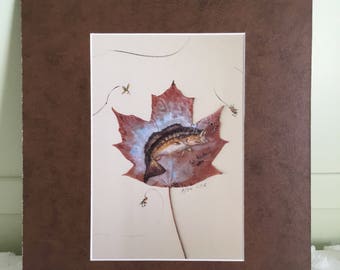 SPECIAL, Bass on Maple leaf print- matted in a med brown mat, matted size is 11 x 14