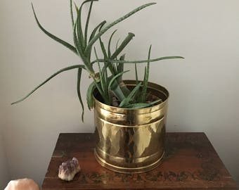 glam hollywood regency brass planter. 1970s regency mid century planter. boho brass planter. modernist brass floor planter