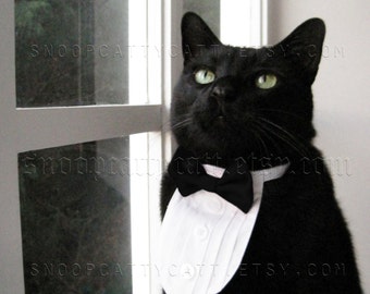 Cat Tuxedo - The Original - Classic Black Tie