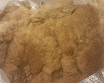 Raw Alpaca Fiber, Huacaya, Fawn (Kaya)