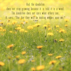 Dandelion quotes | Etsy