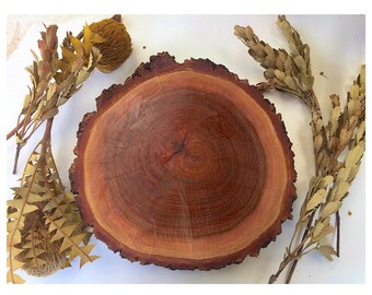 Wooden Slice, wooden rounds, rustic, Wooden table centrepiece, wooden cake base, Party, Wedding, Wooden slice with bark, rustic wedding, app