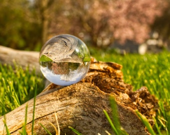 Spring and Magnolia Tree with Lens Ball Print
