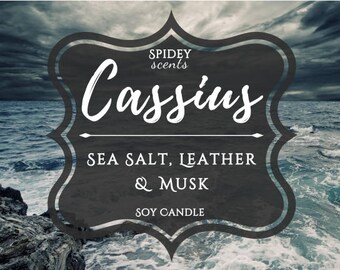 Cassius Roar Soy Candle