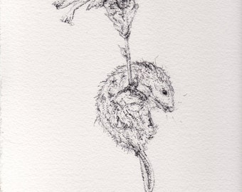 The Mouse's Bouquet
