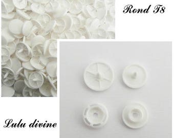 Set of 10 games / 10 snaps (40 pieces) KAM white T24 / T8 round B3