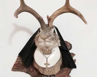 Taxidermy Nun Jackalope - Depeche Mode Nunny Bunny