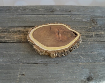 Large Elm Tree Slice- Wall Hanging, Candle Stand, Centerpiece, Large Wood Slice, Cake Stand (WS6006)