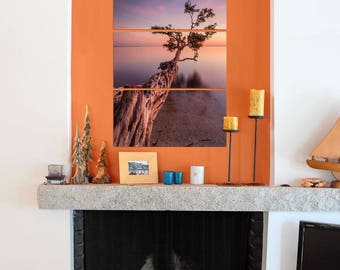 Gnarled Tree Over Water Triptych Metal Wall Art