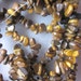Tigers Eye Chip Beads 5-8mm 30 Beads