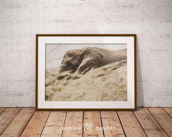 elephant safari nursery room decor baby nursery animal wall art safari african decor - African Decor elephant safari nursery room decor baby nursery animal wall art safari african decor - African Decor