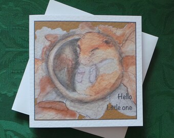 Animal Dormouse Cute New Baby Greeting Card / Wildlife Greeting Card / Dormouse Card / Artistic Watercolour Prints Greeting Cards / by Clare