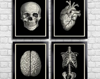 Anatomical Set Anatomy Print Set of 4 Medical Wall Art Dictionary Art Prints Gifts for Boyfriend Set of Posters Vintage Anatomy Skull 090