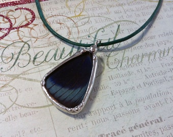 Butterfly Wing Charm Soldered Glass Pendant Specimen Jewelry