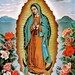 Our Lady of Guadalupe Virgin Mary Blessed Mother Virgen de