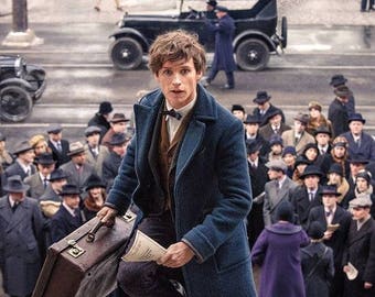 Newt Scamander Coat